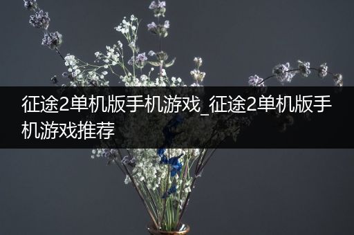 征途2单机版手机游戏_征途2单机版手机游戏推荐