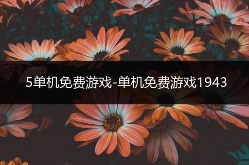5单机免费游戏-单机免费游戏1943
