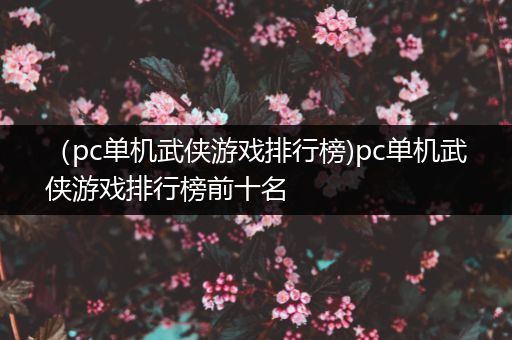 （pc单机武侠游戏排行榜)pc单机武侠游戏排行榜前十名