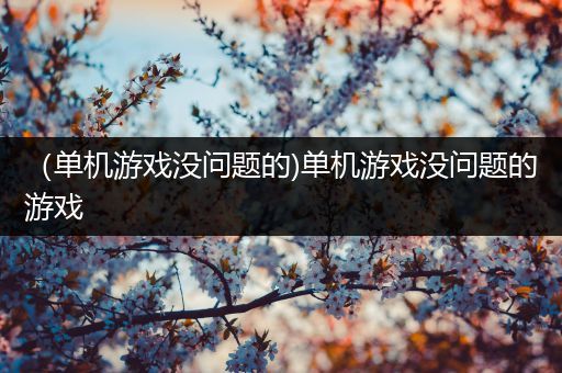 （单机游戏没问题的)单机游戏没问题的游戏