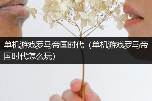 单机游戏罗马帝国时代（单机游戏罗马帝国时代怎么玩）