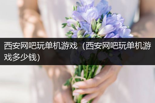 西安网吧玩单机游戏（西安网吧玩单机游戏多少钱）