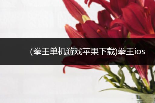 （拳王单机游戏苹果下载)拳王ios