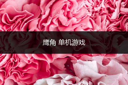 鹰角 单机游戏