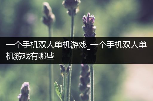 一个手机双人单机游戏_一个手机双人单机游戏有哪些