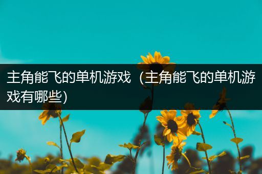 主角能飞的单机游戏（主角能飞的单机游戏有哪些）