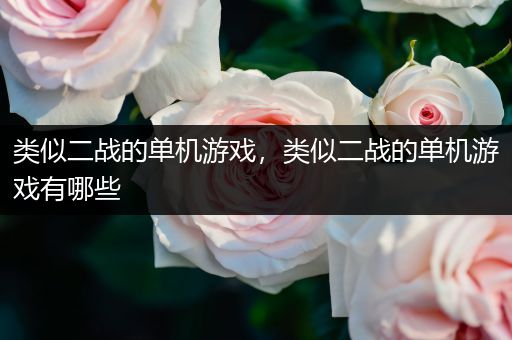 类似二战的单机游戏，类似二战的单机游戏有哪些