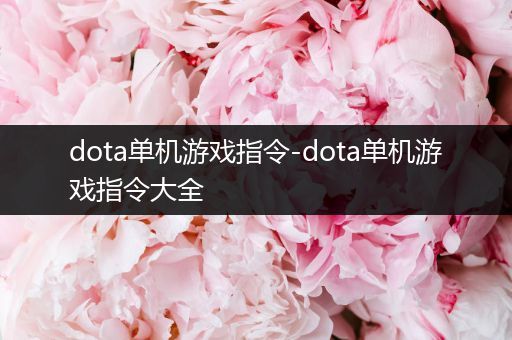 dota单机游戏指令-dota单机游戏指令大全