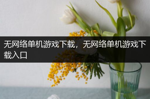 无网络单机游戏下载，无网络单机游戏下载入口