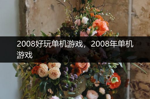 2008好玩单机游戏，2008年单机游戏