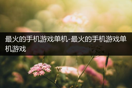 最火的手机游戏单机-最火的手机游戏单机游戏
