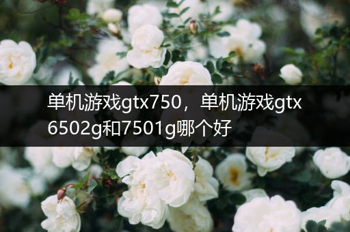 单机游戏gtx750，单机游戏gtx6502g和7501g哪个好