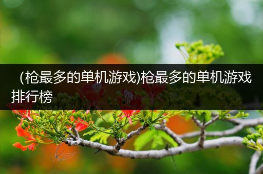 （枪最多的单机游戏)枪最多的单机游戏排行榜