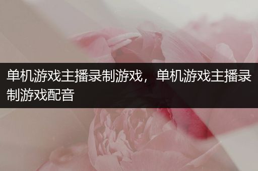 单机游戏主播录制游戏，单机游戏主播录制游戏配音