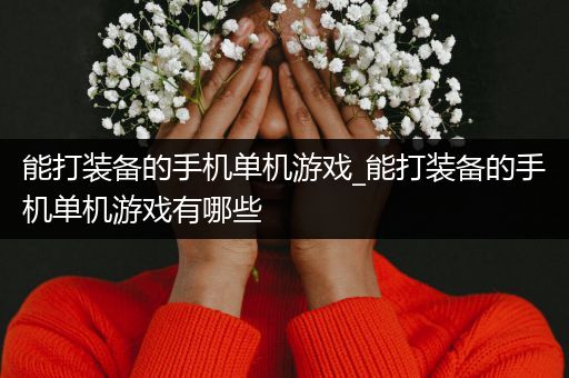 能打装备的手机单机游戏_能打装备的手机单机游戏有哪些
