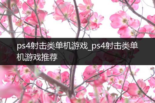 ps4射击类单机游戏_ps4射击类单机游戏推荐