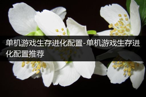 单机游戏生存进化配置-单机游戏生存进化配置推荐