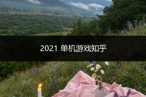 2021 单机游戏知乎