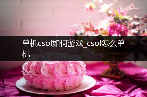 单机csol如何游戏_csol怎么单机