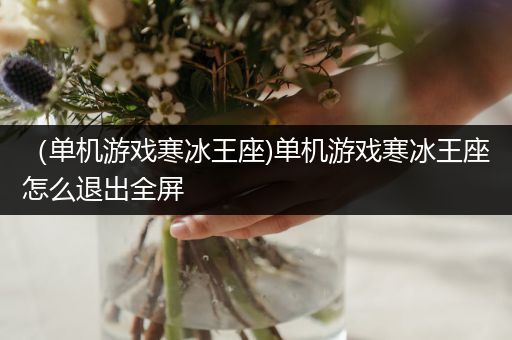 （单机游戏寒冰王座)单机游戏寒冰王座怎么退出全屏