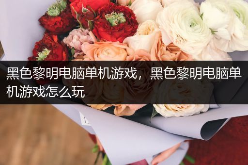 黑色黎明电脑单机游戏，黑色黎明电脑单机游戏怎么玩