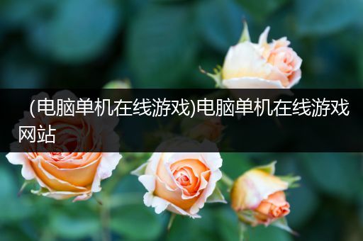 （电脑单机在线游戏)电脑单机在线游戏网站