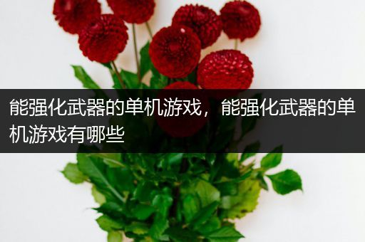能强化武器的单机游戏，能强化武器的单机游戏有哪些