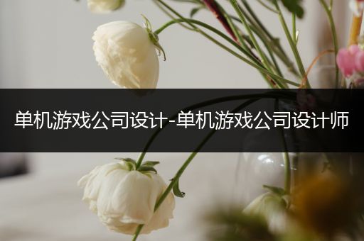单机游戏公司设计-单机游戏公司设计师