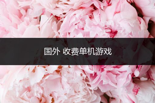 国外 收费单机游戏