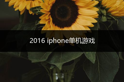 2016 iphone单机游戏