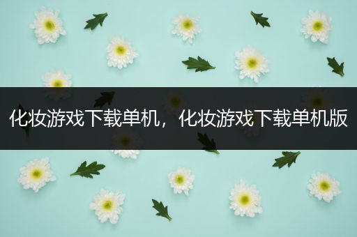化妆游戏下载单机，化妆游戏下载单机版