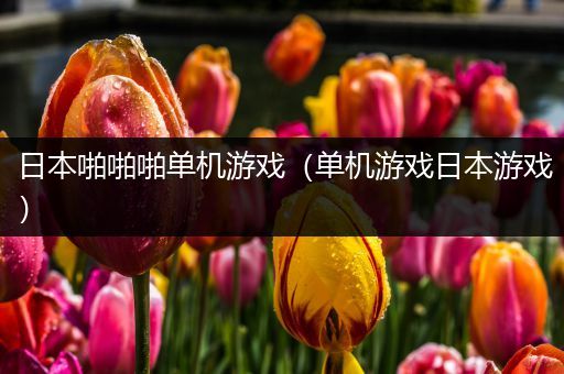 日本啪啪啪单机游戏（单机游戏日本游戏）