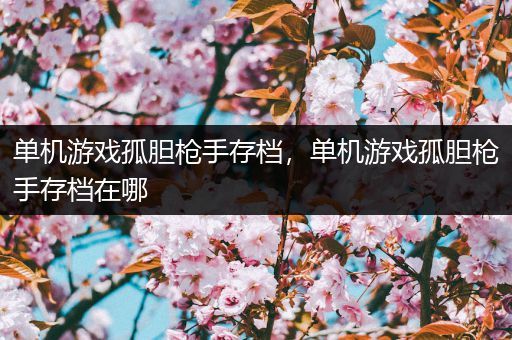 单机游戏孤胆枪手存档，单机游戏孤胆枪手存档在哪