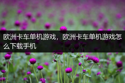 欧洲卡车单机游戏，欧洲卡车单机游戏怎么下载手机