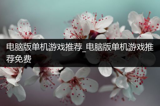 电脑版单机游戏推荐_电脑版单机游戏推荐免费