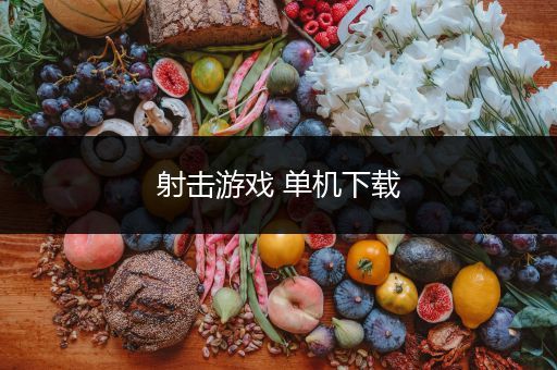 射击游戏 单机下载