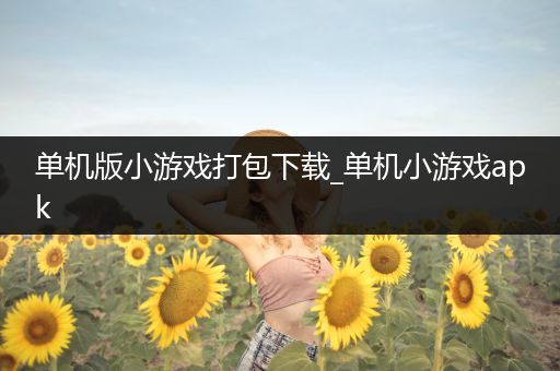 单机版小游戏打包下载_单机小游戏apk