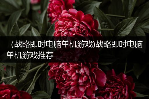 （战略即时电脑单机游戏)战略即时电脑单机游戏推荐