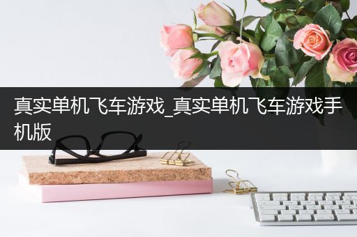 真实单机飞车游戏_真实单机飞车游戏手机版