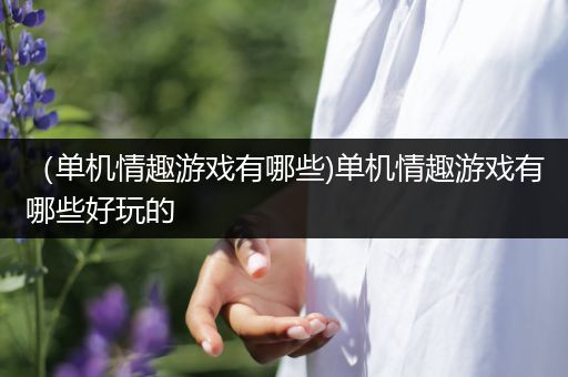 （单机情趣游戏有哪些)单机情趣游戏有哪些好玩的