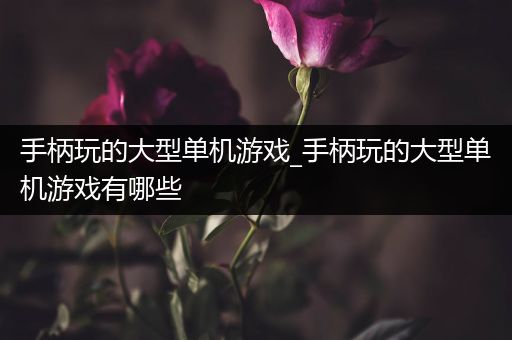 手柄玩的大型单机游戏_手柄玩的大型单机游戏有哪些