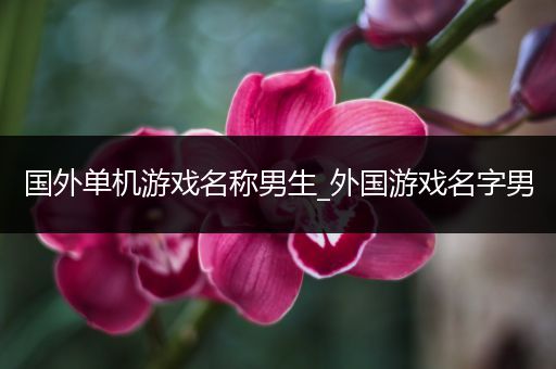 国外单机游戏名称男生_外国游戏名字男