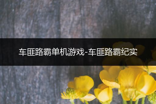 车匪路霸单机游戏-车匪路霸纪实