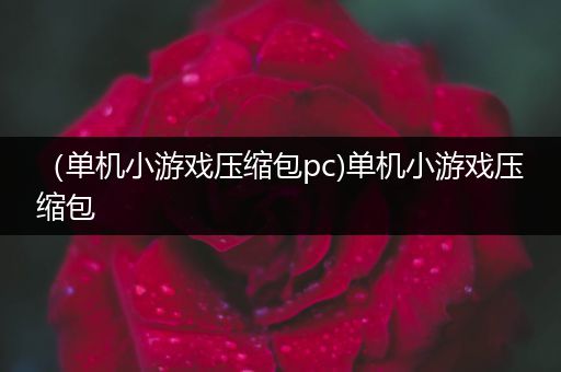 （单机小游戏压缩包pc)单机小游戏压缩包