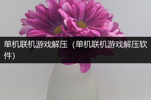 单机联机游戏解压（单机联机游戏解压软件）