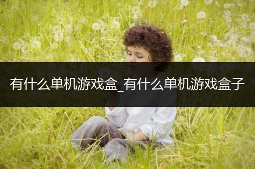 有什么单机游戏盒_有什么单机游戏盒子