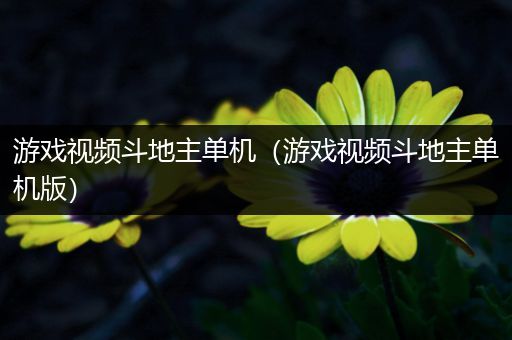 游戏视频斗地主单机（游戏视频斗地主单机版）