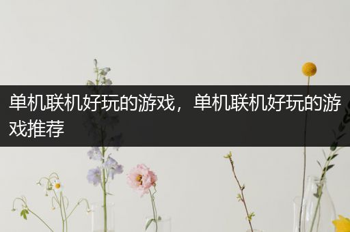 单机联机好玩的游戏，单机联机好玩的游戏推荐