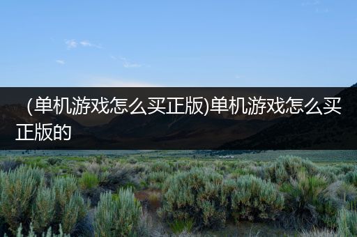 （单机游戏怎么买正版)单机游戏怎么买正版的