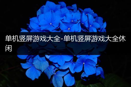 单机竖屏游戏大全-单机竖屏游戏大全休闲
